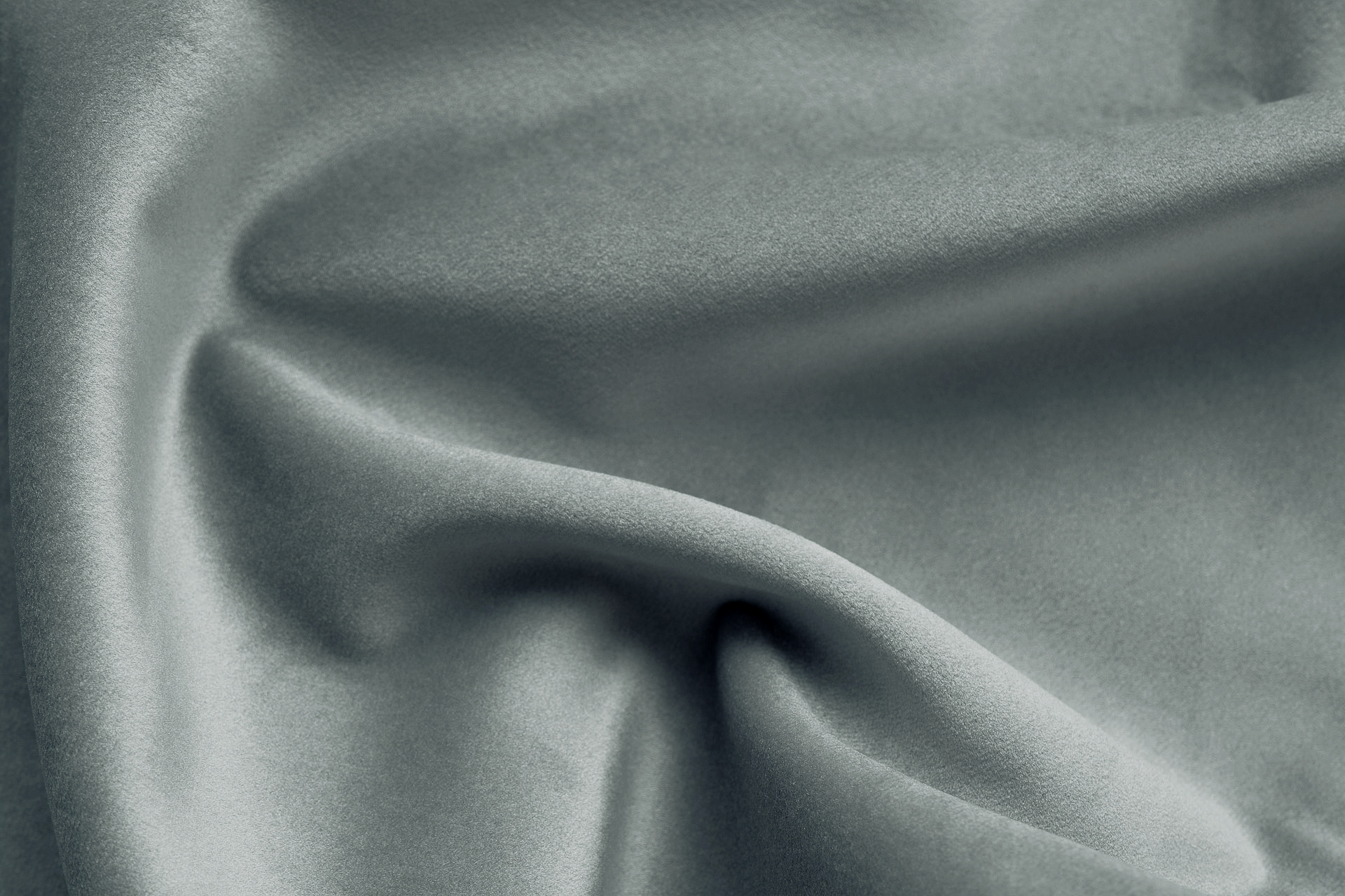 Paddington Paddington 23