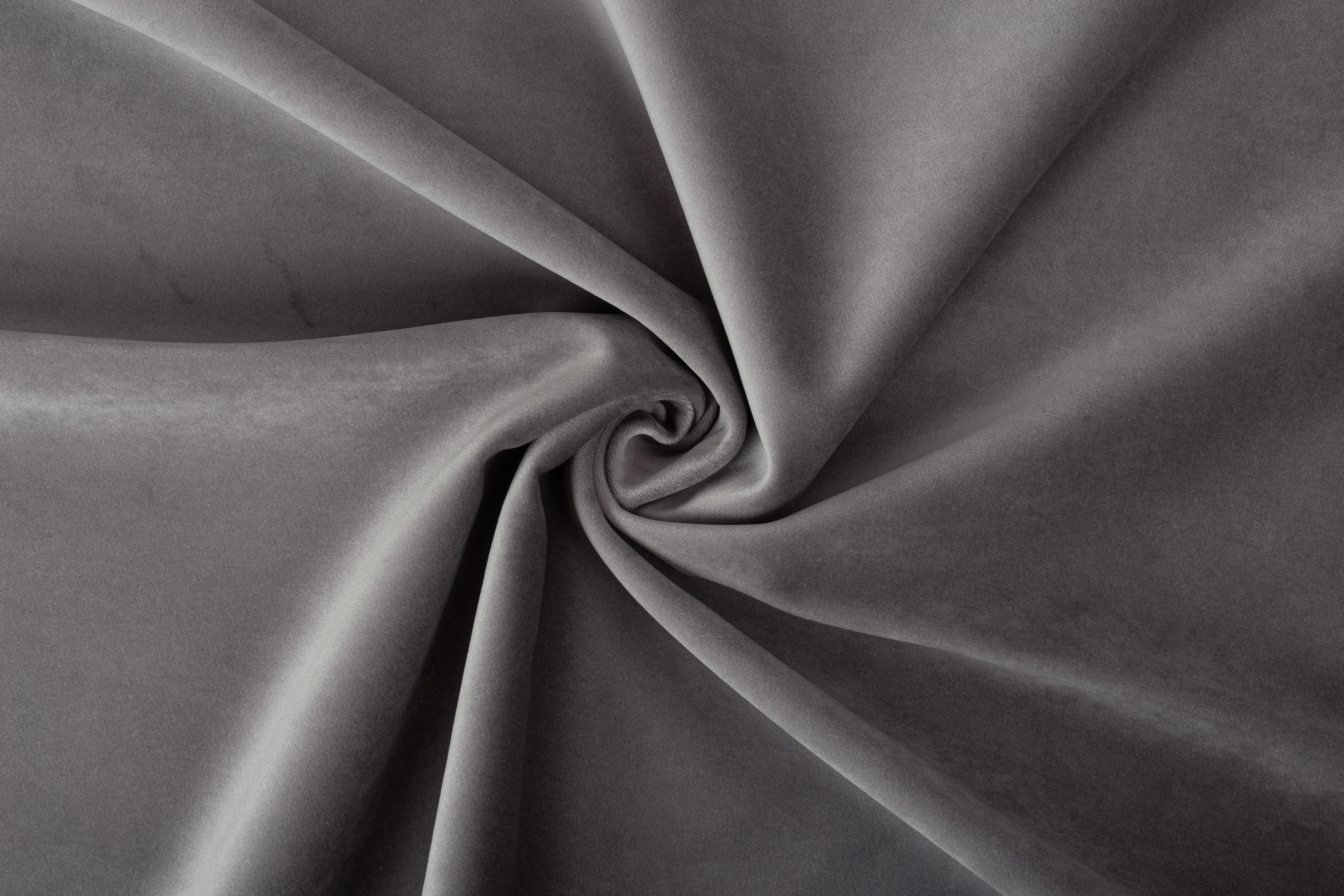 Paddington Paddington 42