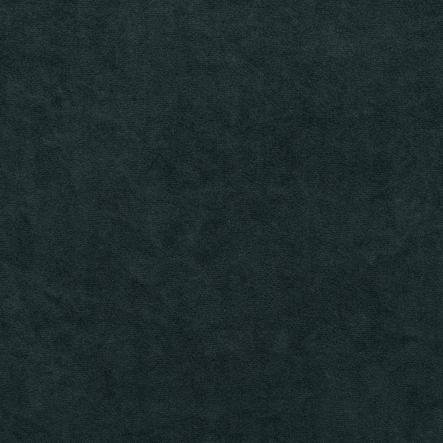 Leonardo Leonardo 11