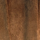 Bourgeois Bourgeois Whisky